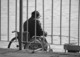 62% of Disabled Unemployed