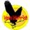 VETERANS UNITED FOR TRUTH
