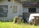 Alabama's Gulf Coast, Three Years After Katrina  