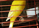 Yywjddcrvpjybai-76x56-cropped