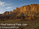 Donate to NPCA