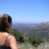 Alison Stiner