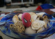 Monday Autism News Potpourri