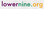 LOWER NINE ORG