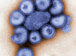 Ibsmcudrjmqclgu-76x56-cropped