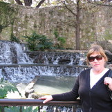 lynda Lyons-James
