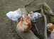 Ntgdiwsugifaihh-76x56-cropped