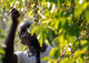 What is Fair Trade?