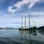 Greenpeace Zealand