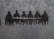 Accessible Meetings