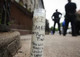 Police, Race and Friendly Fire