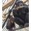 Primarily Primates