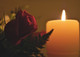 The Language of Love
