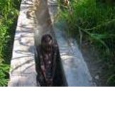 Lambi Fund of Haiti