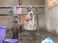Food Crisis in Uganda