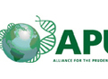 The Alliance for the Prudent Use of Antibiotics