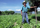 Small Farmers Hold Key to Feeding the World