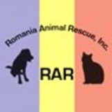 Romania Animal Rescue