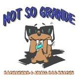NOT SO GRANDE DACHSHUND & SMALL DOG RESCUE