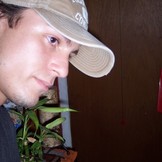 alan velo