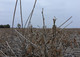 Food Needs A Stable Climate