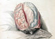 Talking 21st Century Skills Blues