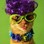 groovy kat