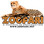 Zoofari Incorporated