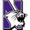 Northwestern University