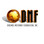 Dikembe Mutombo Foundation