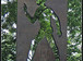 Xrzhcodoaknewic-76x56-cropped