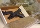 More Humans Than Drugs Trafficked In Europe