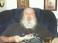 Larry D. Grazier