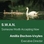 Amilia Duchon-Voyles