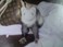 Keely Boyle