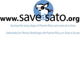 Fundacion Save A Sato