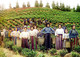 Why Women's Rights Matter to Our Food