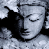 dhyana kearly