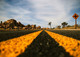 It's Time to Go Beyond Autism Awareness