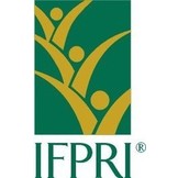 INTERNATIONAL FOOD POLICY RESEARCH INSTITUTE