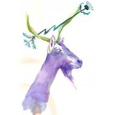 The Greenhorns
