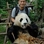 Pete Teoh
