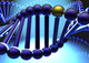A Gene for "Problem Behaviors"?