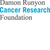 Cancer Research Fund of the Damon Runyon - Walter Winchell Foundation