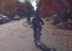 Once Upon a Time, I Tried to Recover My Son From Autism