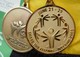 Special Olympics: For Who? (I)