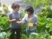 Garden Makeover at Food First