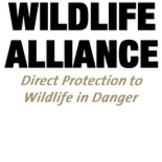 Wildlife Alliance