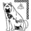 Akita Rescue-Mid Atlantic Coast