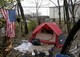The View From Tent City, U.S.A.